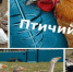 Информация для птицеводов - Кукморский район