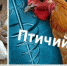 В связи с ухудшением эпизоотической ситуации по высокопатогенному гриппу птиц принять исчерпывающие меры по недопущению заноса гриппа птиц из неблагополучных субъектов Российской Федерации. - Кукморский район