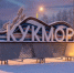 В период длинных новогодних выходных жителей и гостей Кукмора ждёт насыщенная и яркая программа праздничных мероприятий. - Кукморский район