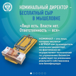 Фиктивное руководство фирмой: ответственность, о которой не говорят мошенники
